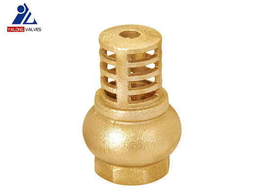 ISO228 Brass Swing Check Valve NPT Swing Foot Valve Natural Color